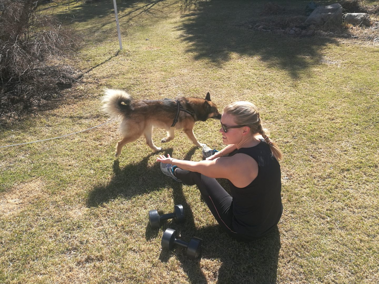 Work work Annimarian A girl sitting on the grass after a workout and a dog running by