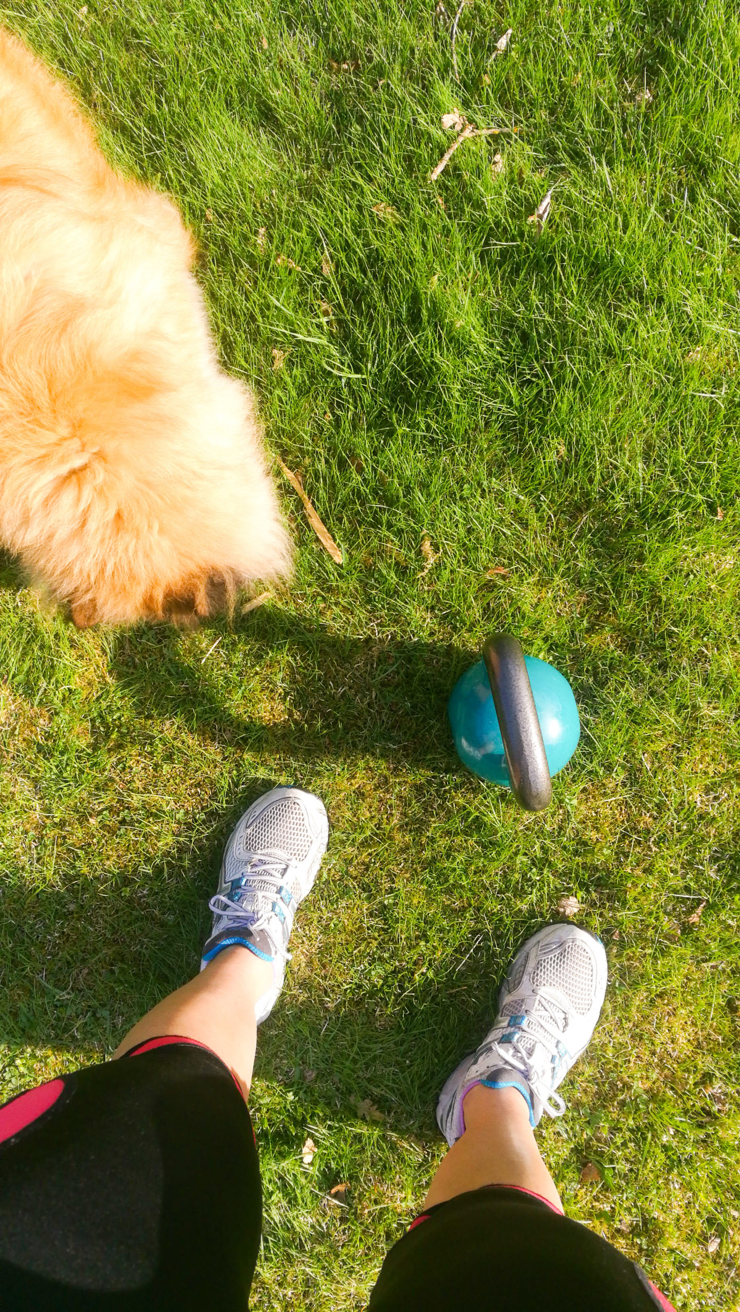 Weekend in pictures A dumbell on a green grass